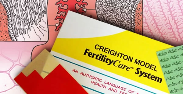 Folleto del Modelo Creighton FertilityCare System sobre láminas del ciclo