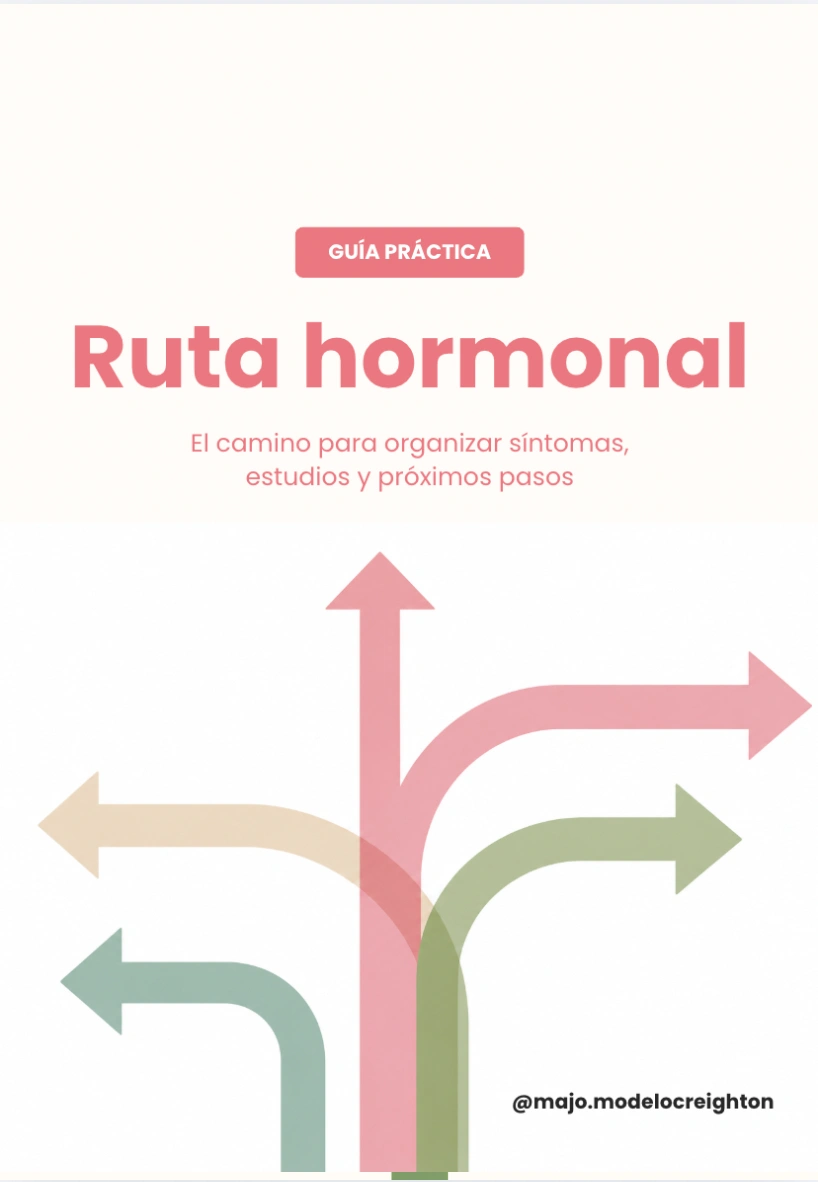 Portada de la guía Ruta hormonal
